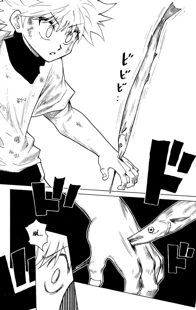 Hunter x Hunter Chap 239 - Next Chap 240