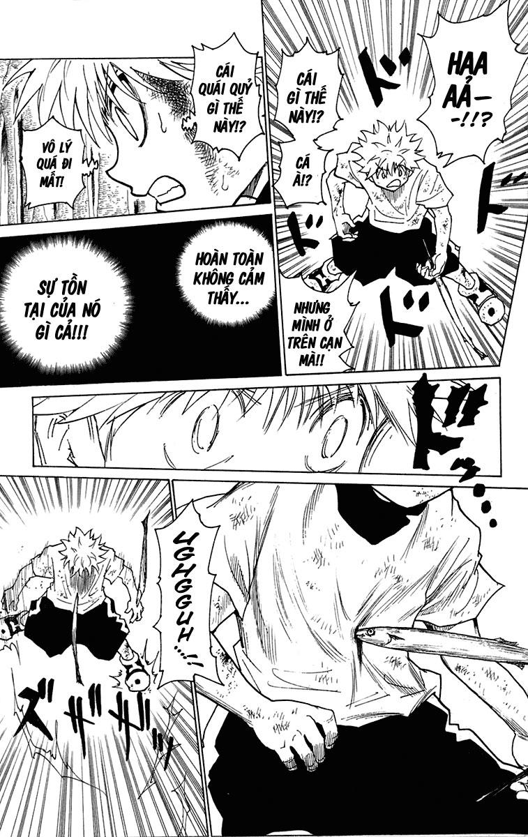 Hunter x Hunter Chap 239 - Next Chap 240