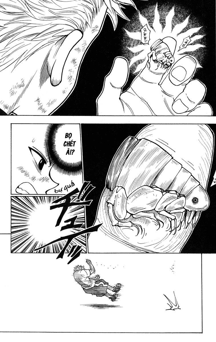 Hunter x Hunter Chap 236 - Next Chap 237