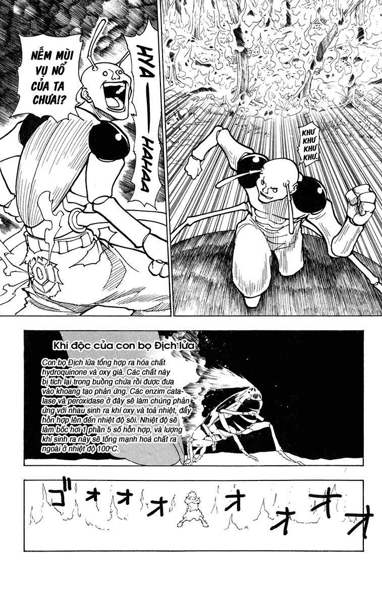 Hunter x Hunter Chap 236 - Next Chap 237