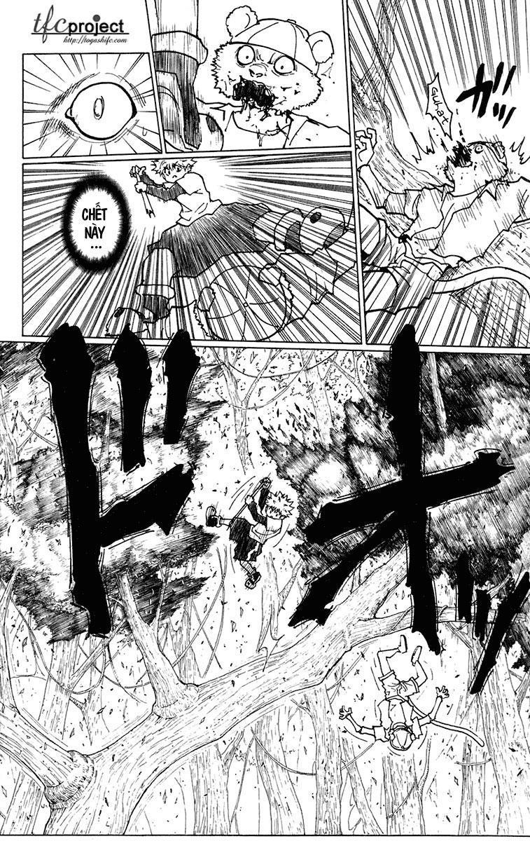 Hunter x Hunter Chap 236 - Next Chap 237