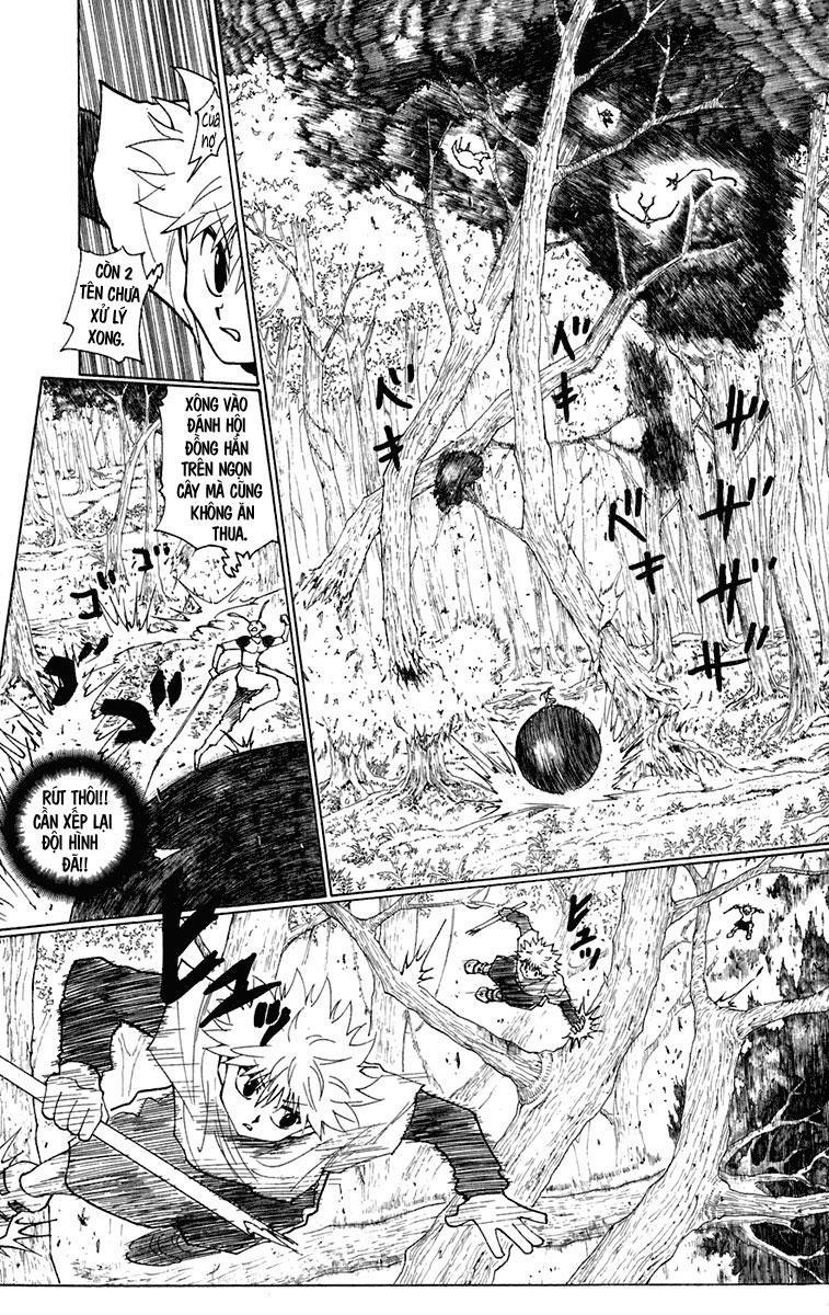 Hunter x Hunter Chap 236 - Next Chap 237