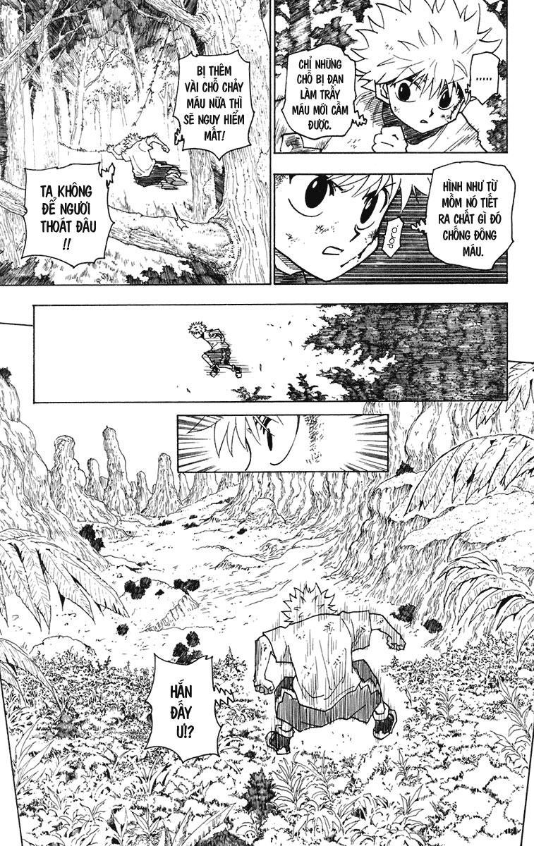 Hunter x Hunter Chap 237 - Next Chap 238