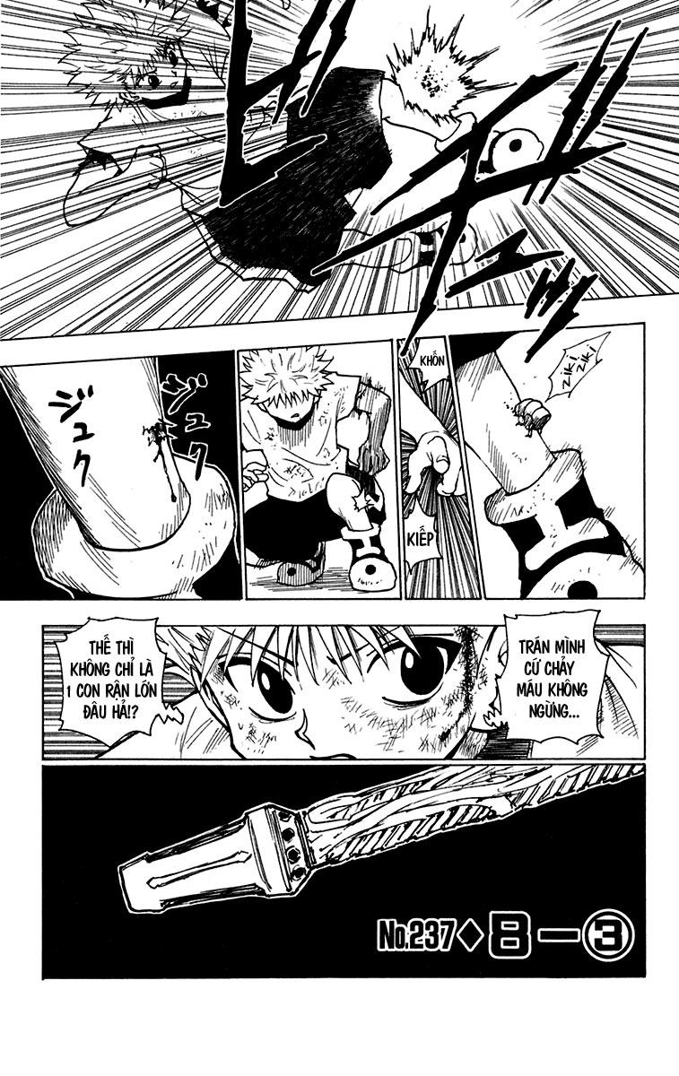 Hunter x Hunter Chap 237 - Next Chap 238