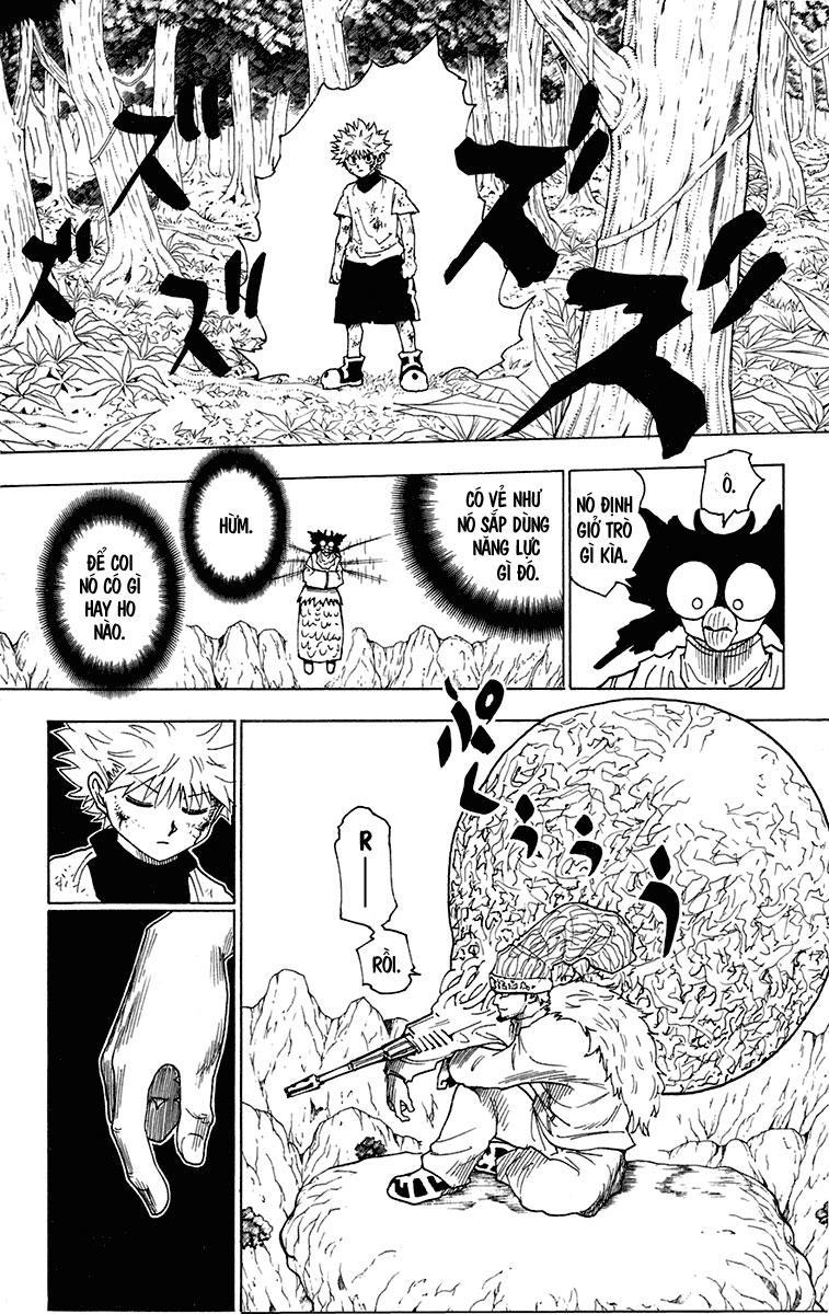 Hunter x Hunter Chap 237 - Next Chap 238
