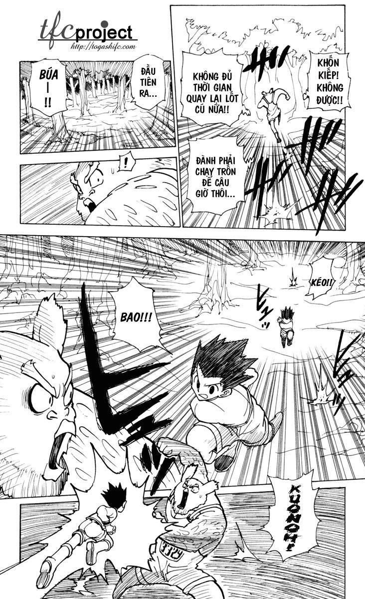 Hunter x Hunter Chap 233 - Next Chap 234