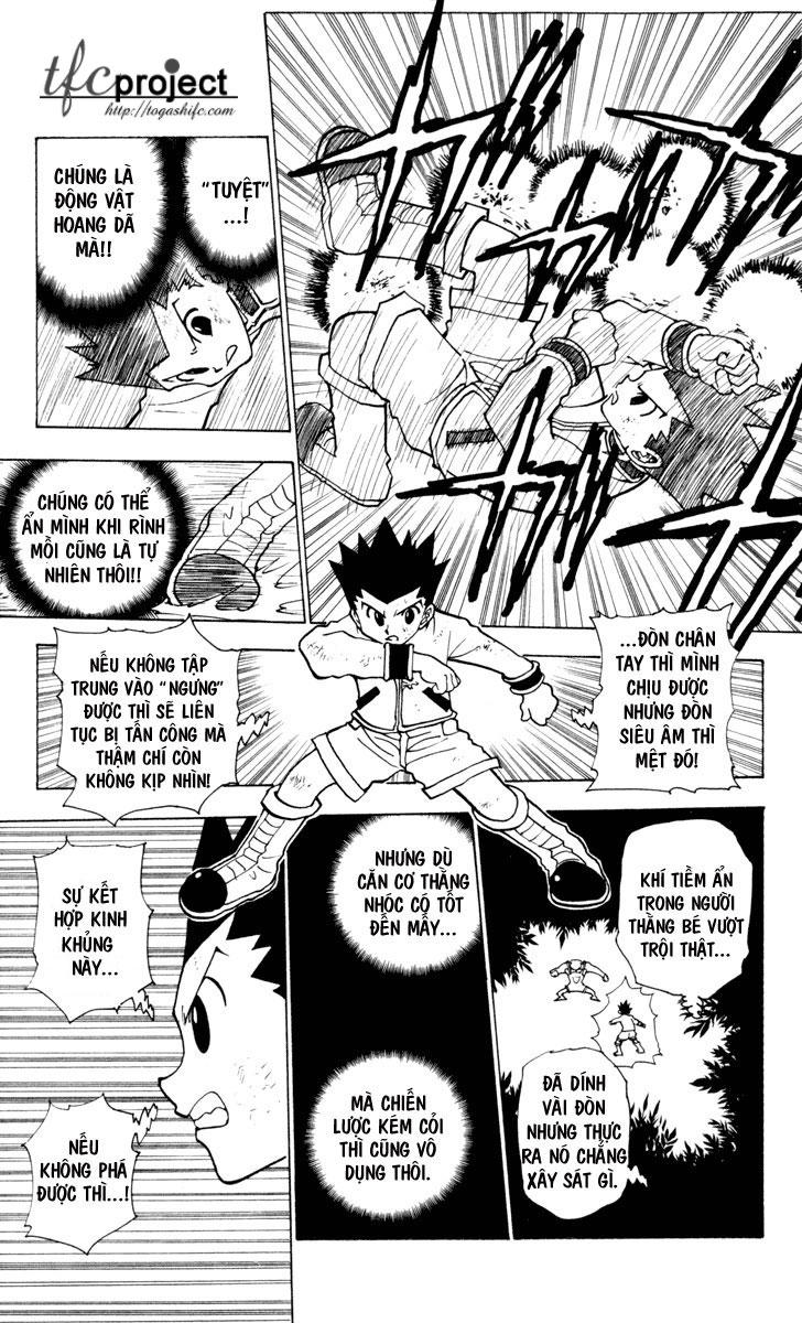 Hunter x Hunter Chap 233 - Next Chap 234