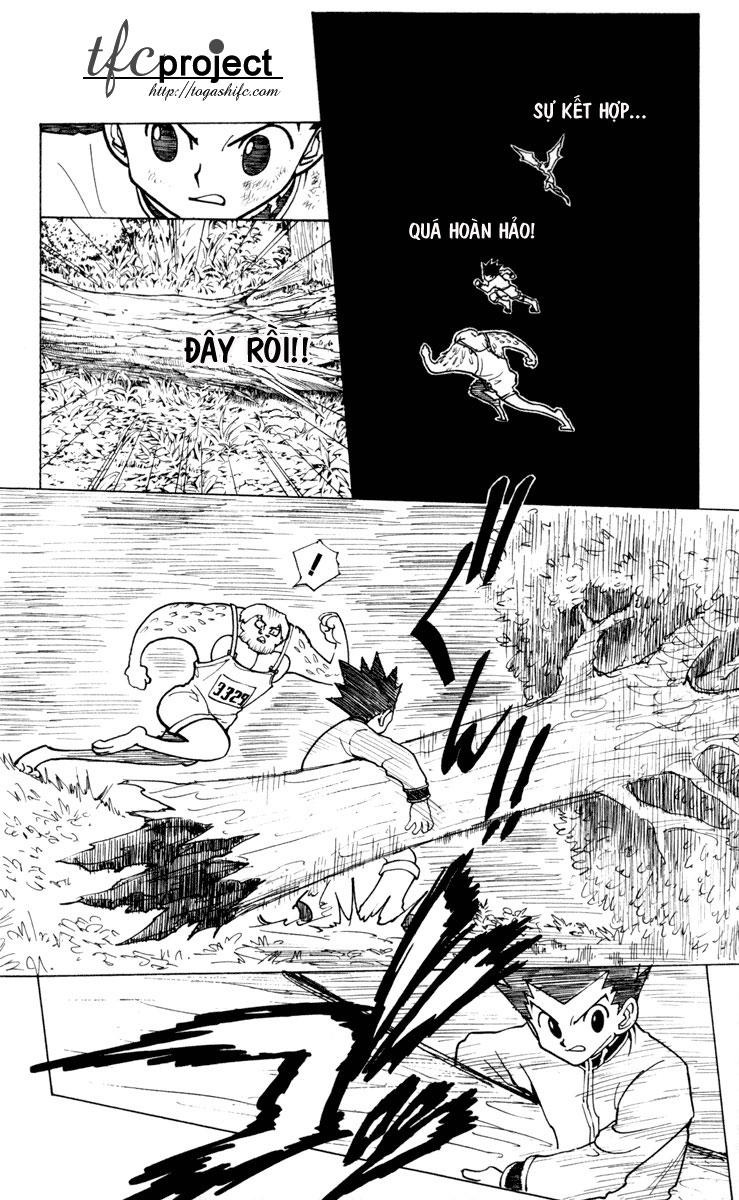 Hunter x Hunter Chap 233 - Next Chap 234