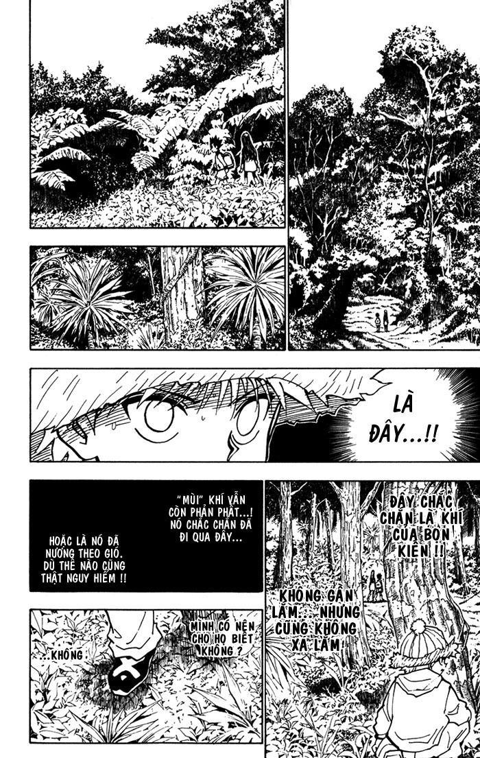 Hunter x Hunter Chap 218 - Next Chap 219