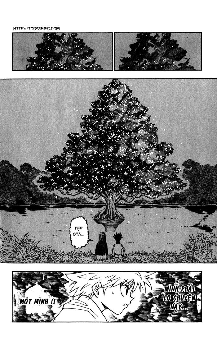 Hunter x Hunter Chap 218 - Next Chap 219
