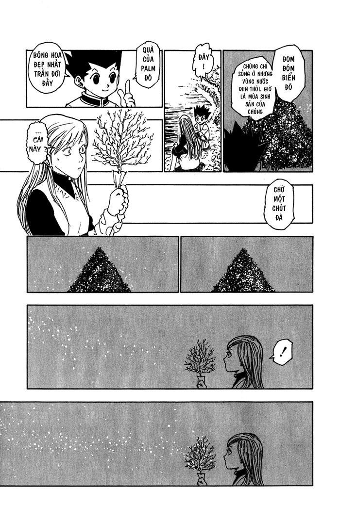 Hunter x Hunter Chap 218 - Next Chap 219