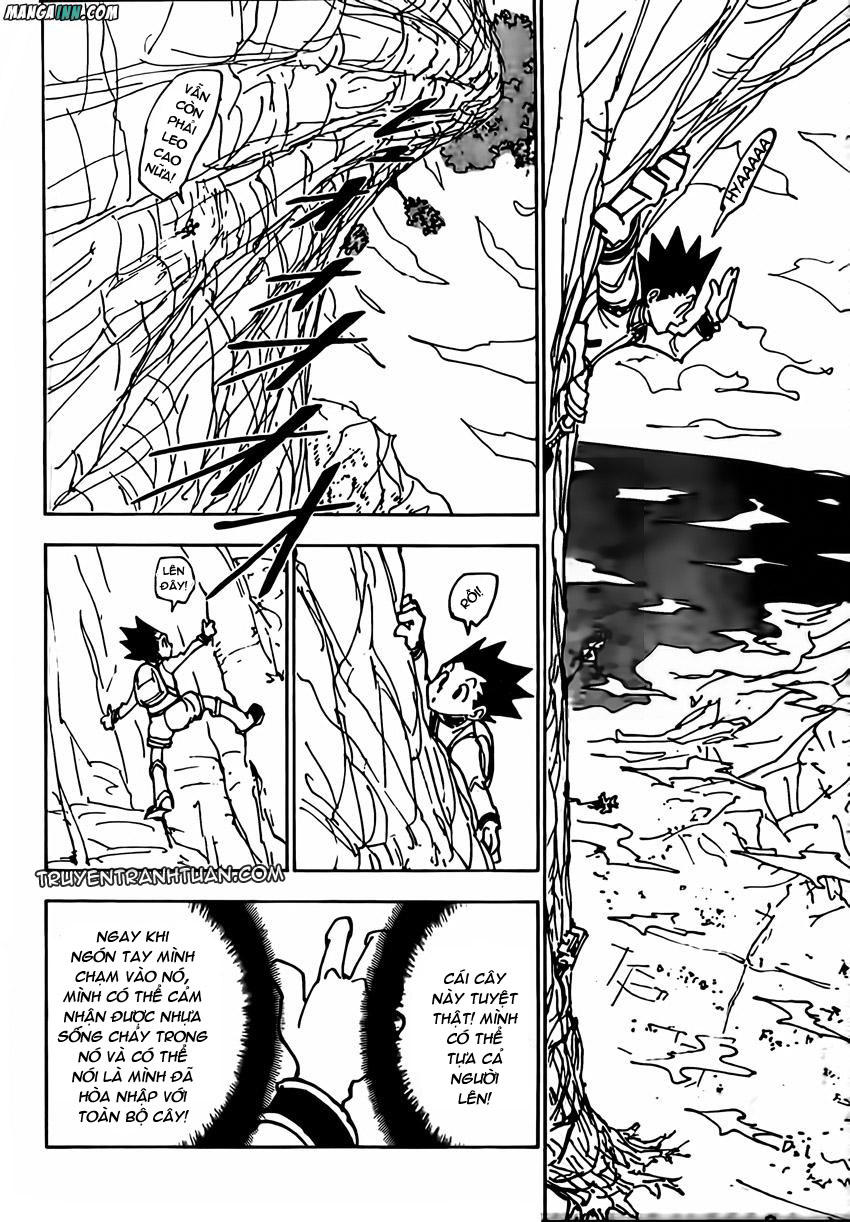 Hunter x Hunter Chap 228 - Next Chap 229