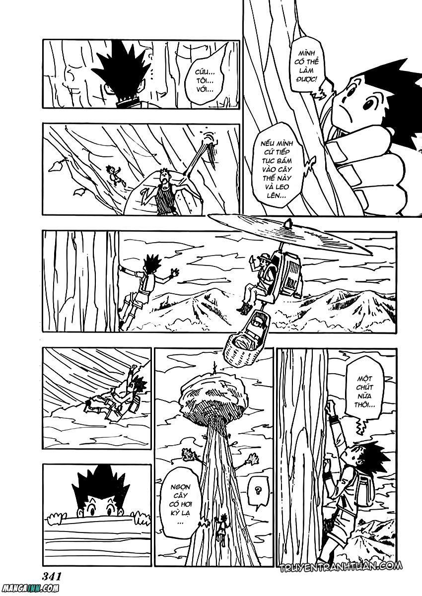 Hunter x Hunter Chap 228 - Next Chap 229