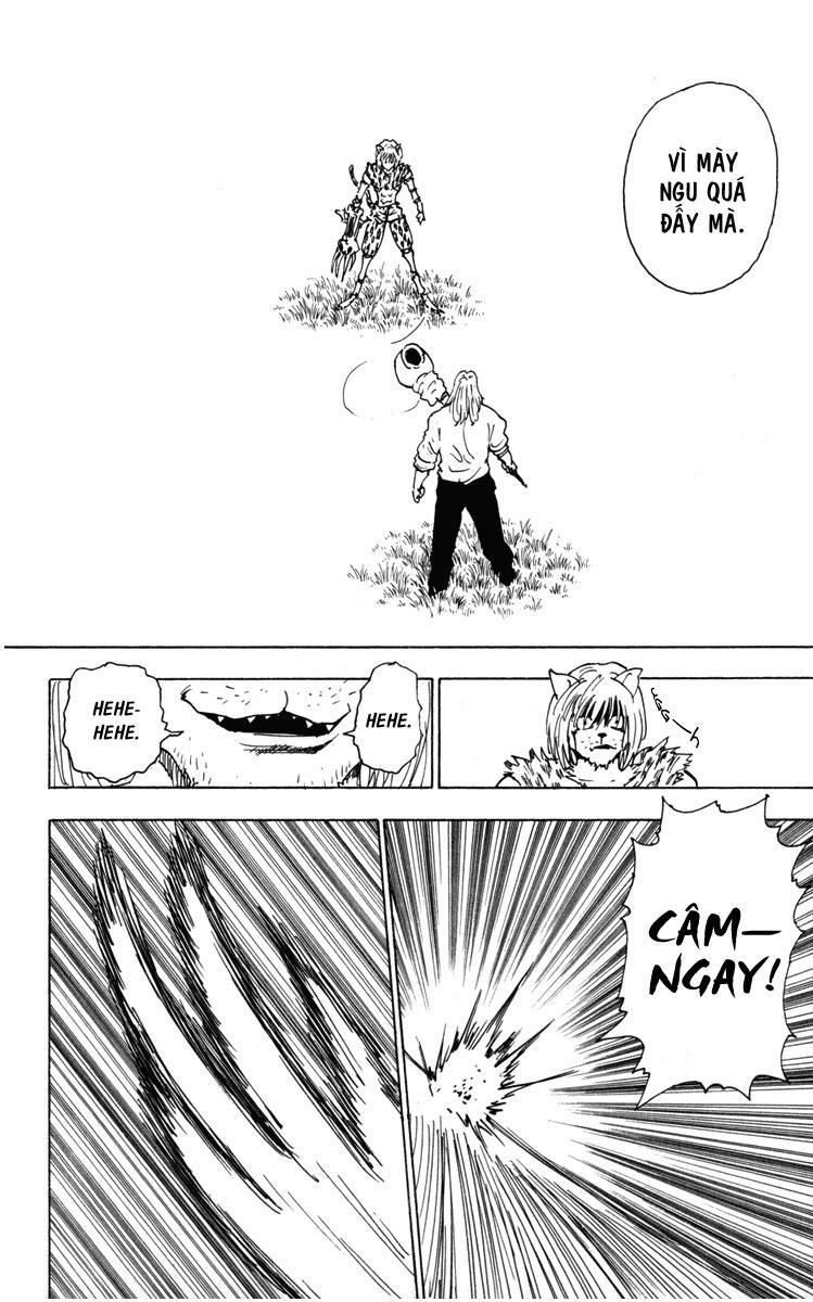 Hunter x Hunter Chap 248 - Next Chap 249