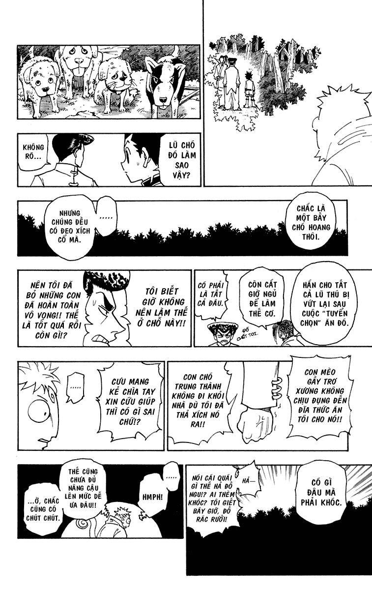 Hunter x Hunter Chap 244 - Next Chap 245
