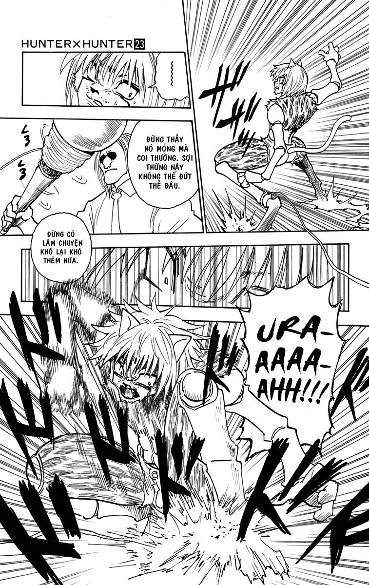 Hunter x Hunter Chap 247 - Next Chap 248