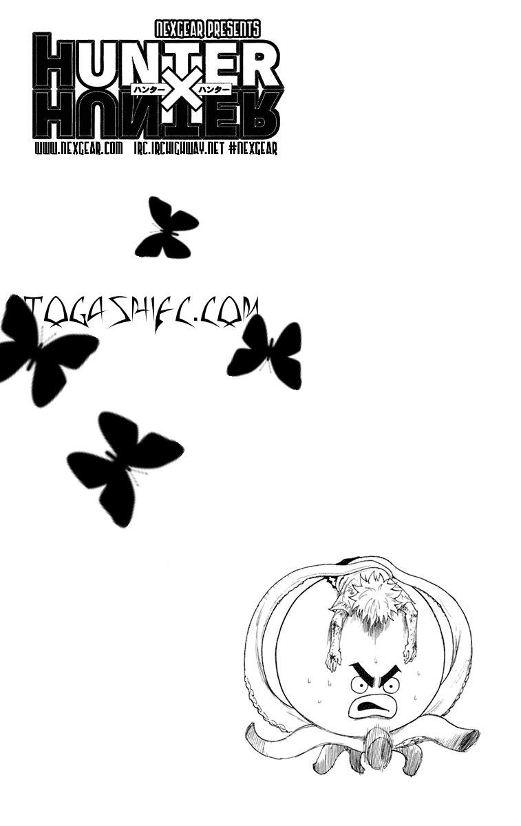 Hunter x Hunter Chap 241 - Next Chap 242