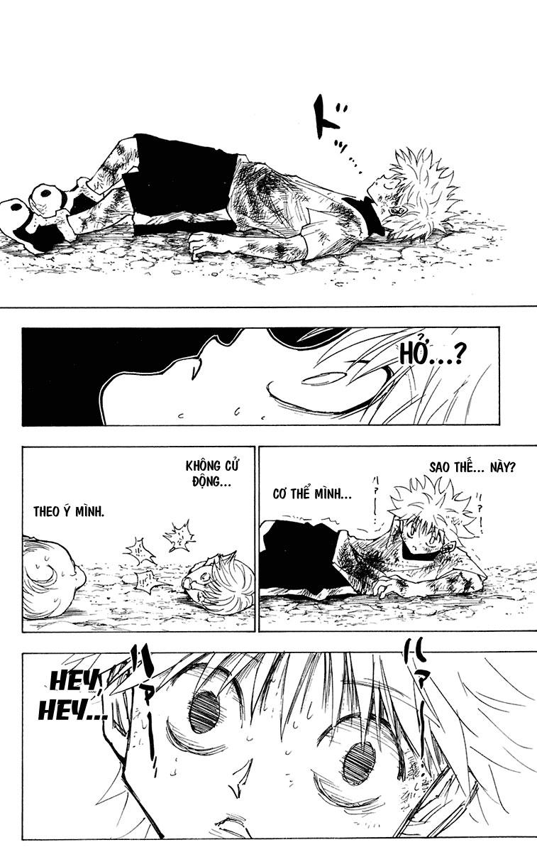 Hunter x Hunter Chap 241 - Next Chap 242