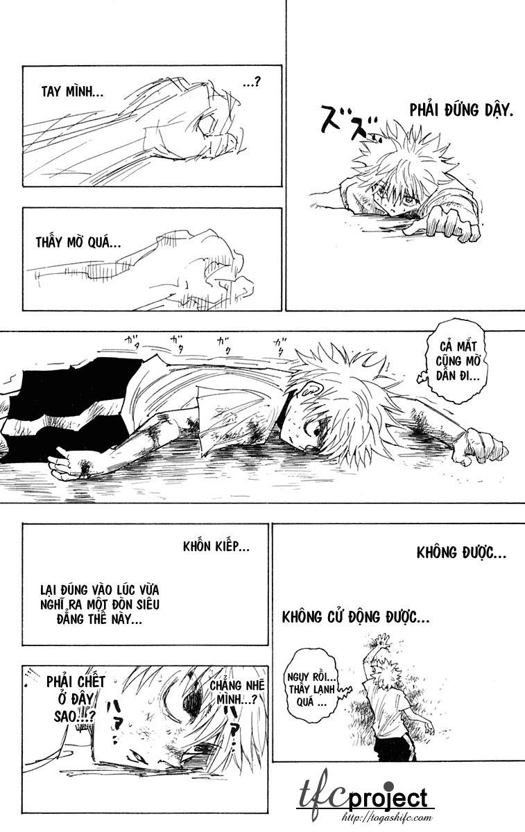 Hunter x Hunter Chap 241 - Next Chap 242