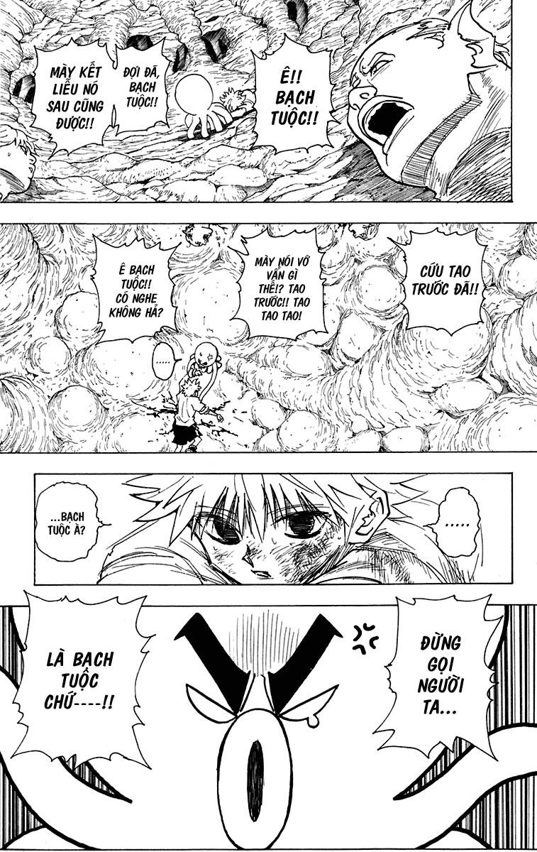 Hunter x Hunter Chap 241 - Next Chap 242