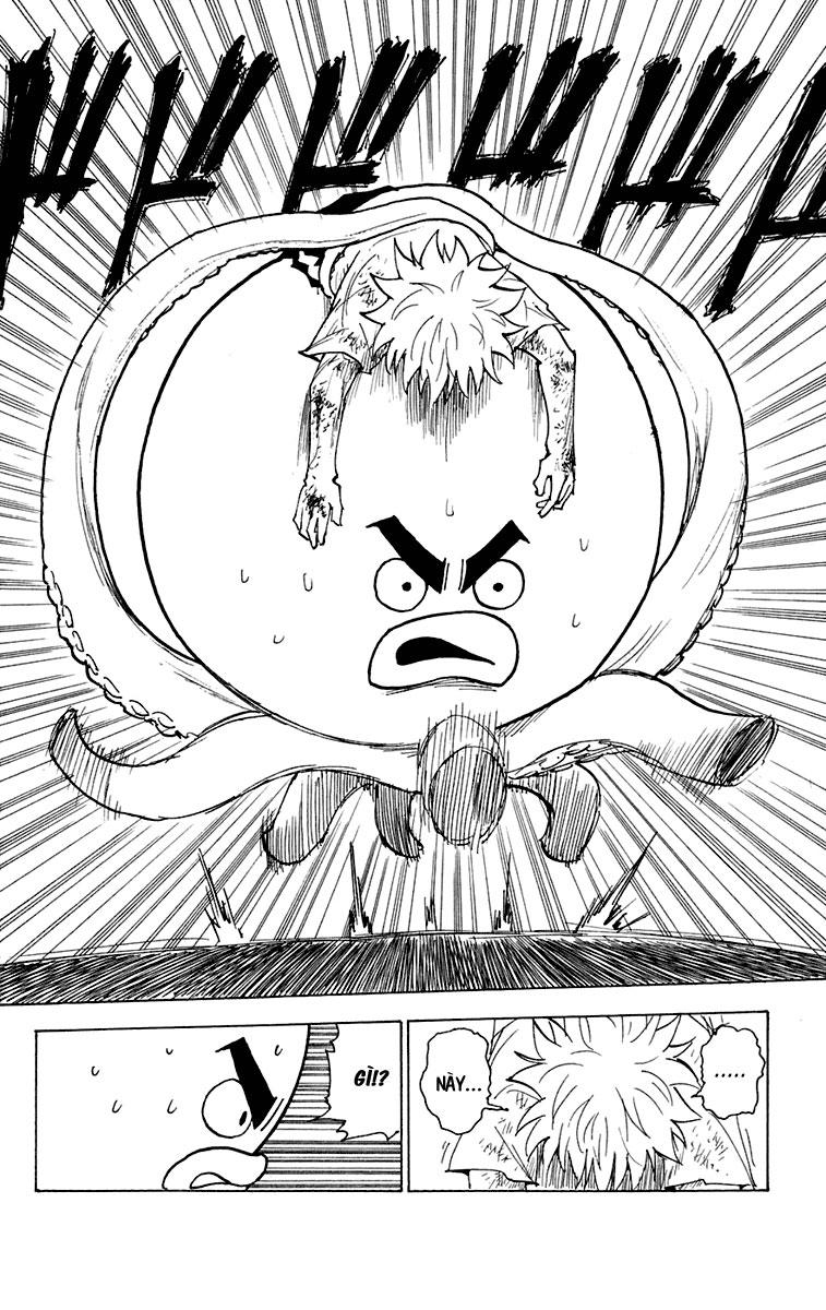Hunter x Hunter Chap 241 - Next Chap 242
