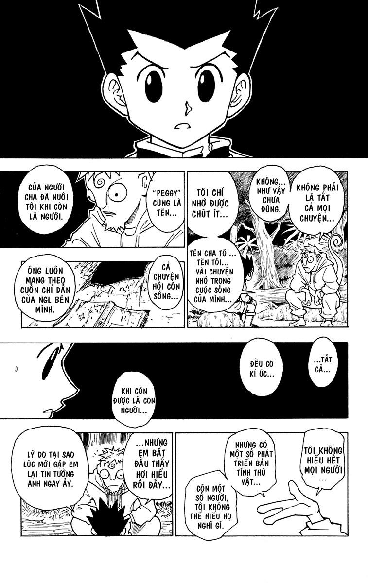 Hunter x Hunter Chap 242 - Next Chap 243