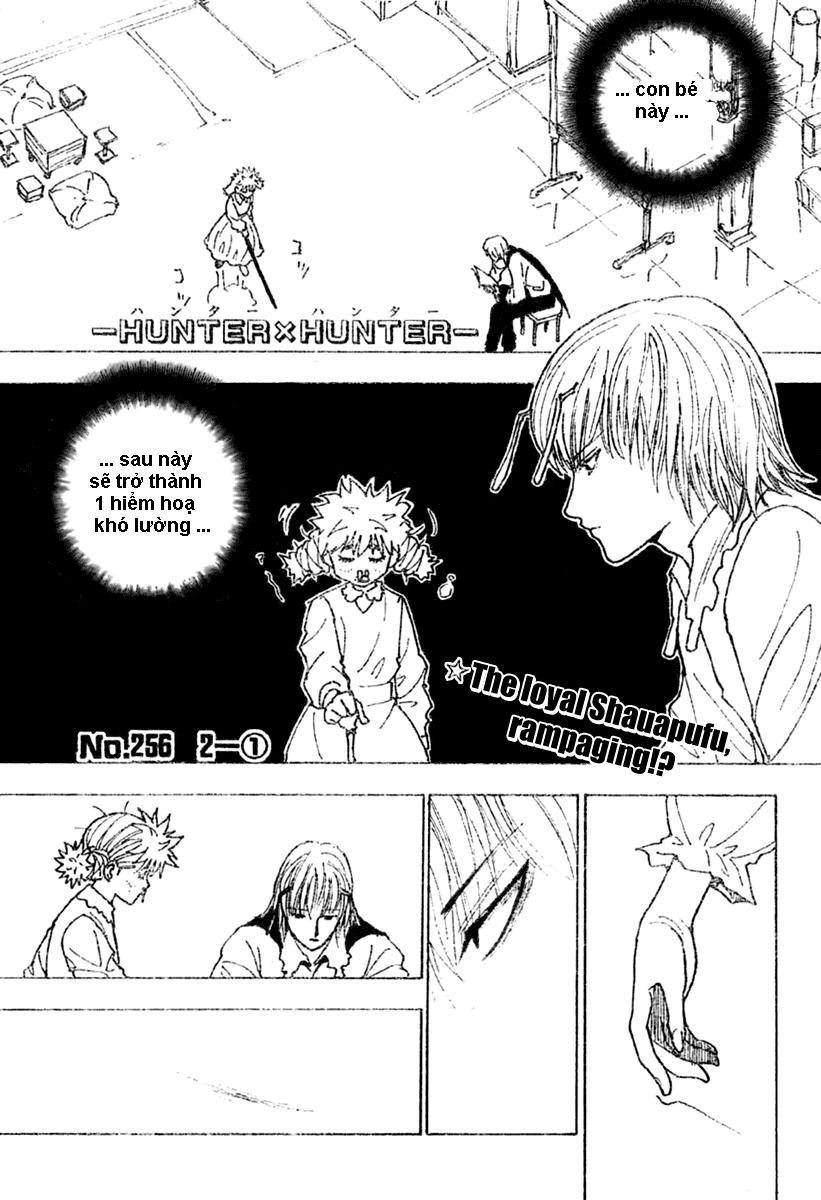 Hunter x Hunter Chap 256 - Next Chap 257
