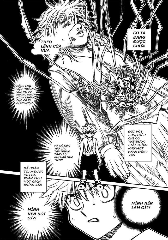 Hunter x Hunter Chap 274 - Next Chap 275