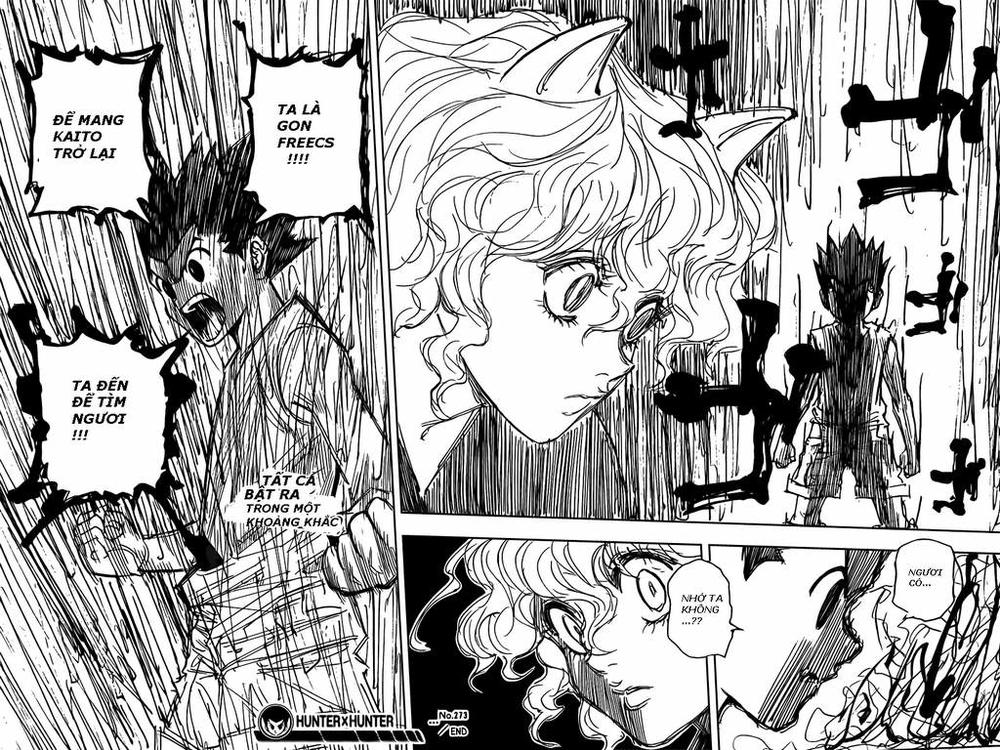 Hunter x Hunter Chap 273 - Next Chap 274