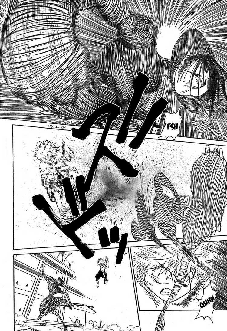 Hunter x Hunter Chap 294 - Next Chap 295