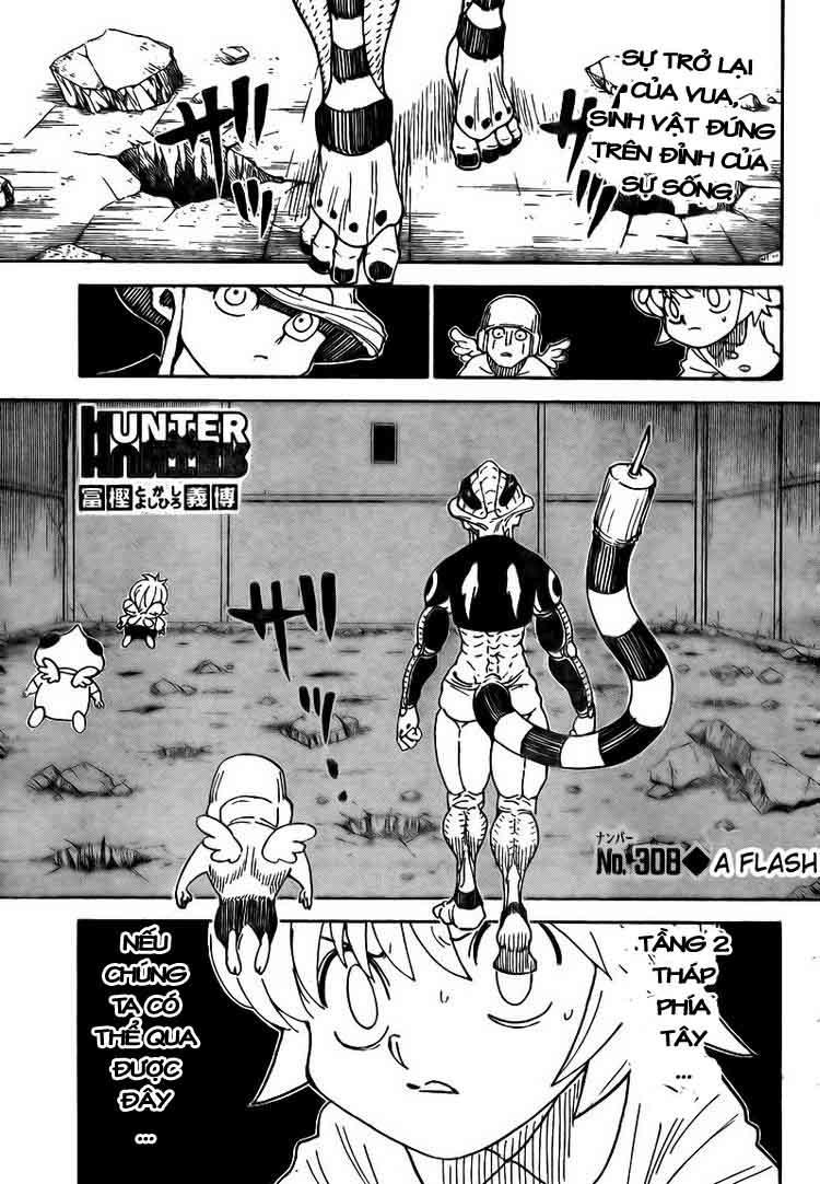Hunter x Hunter Chap 308 - Next Chap 309