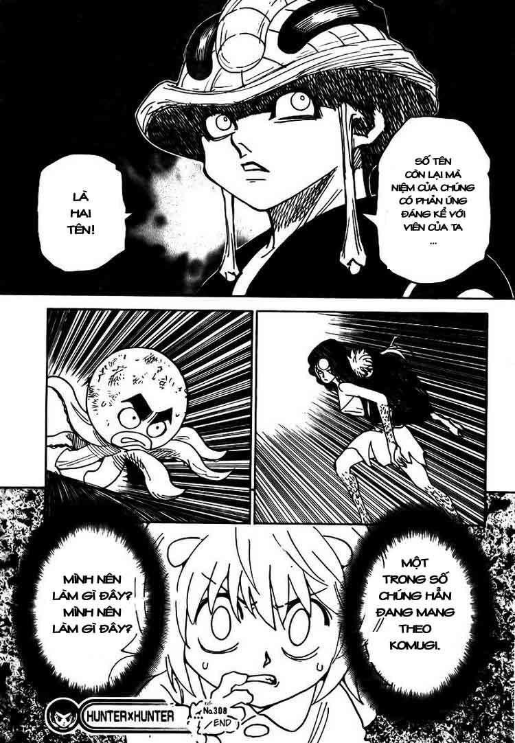 Hunter x Hunter Chap 308 - Next Chap 309