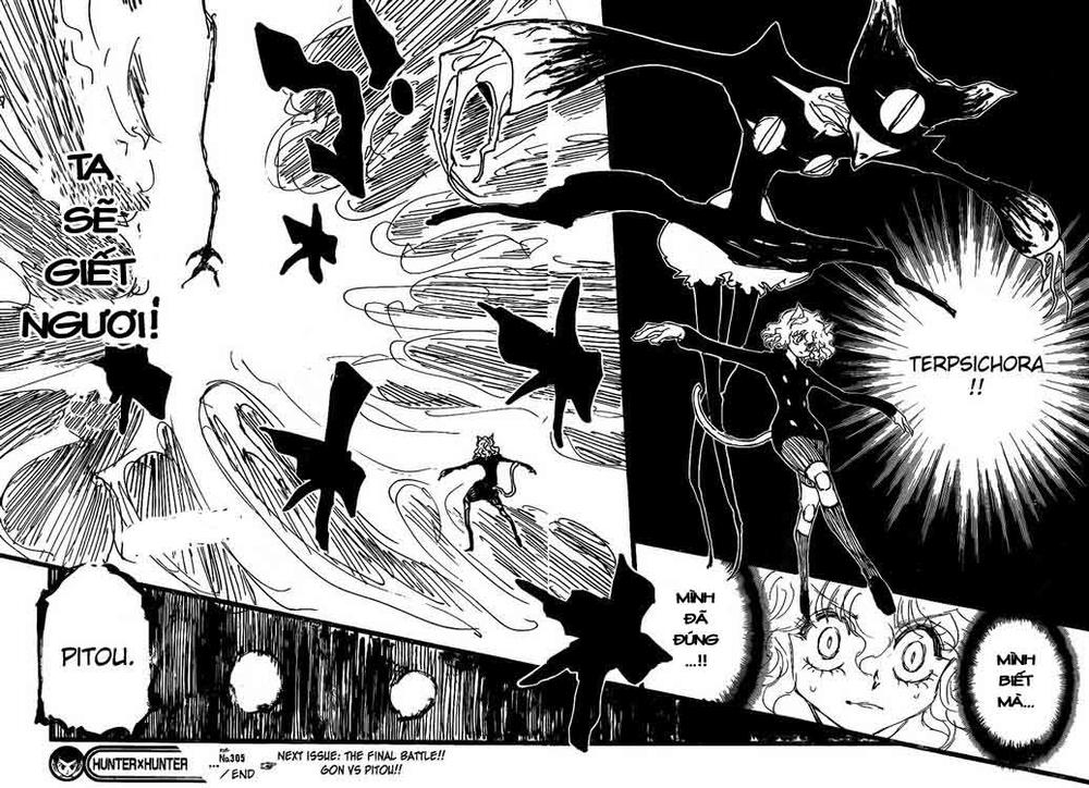 Hunter x Hunter Chap 305 - Next Chap 306