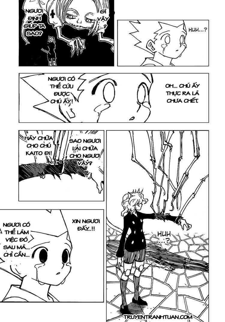 Hunter x Hunter Chap 305 - Next Chap 306