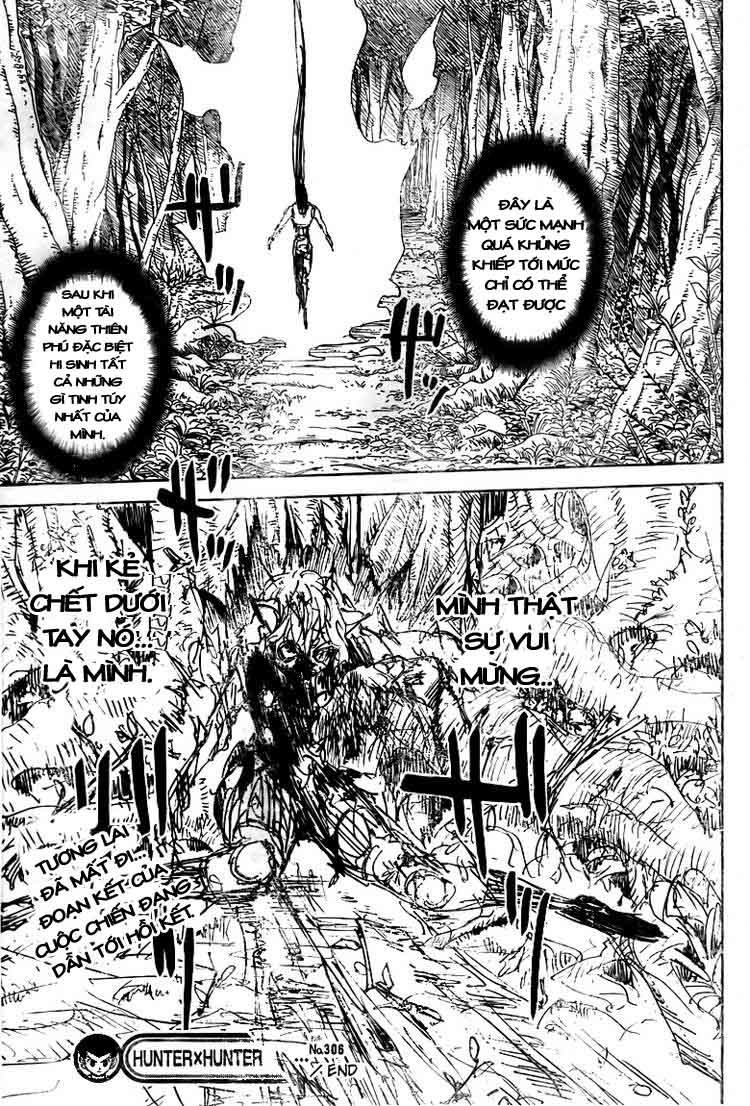 Hunter x Hunter Chap 306 - Next Chap 307
