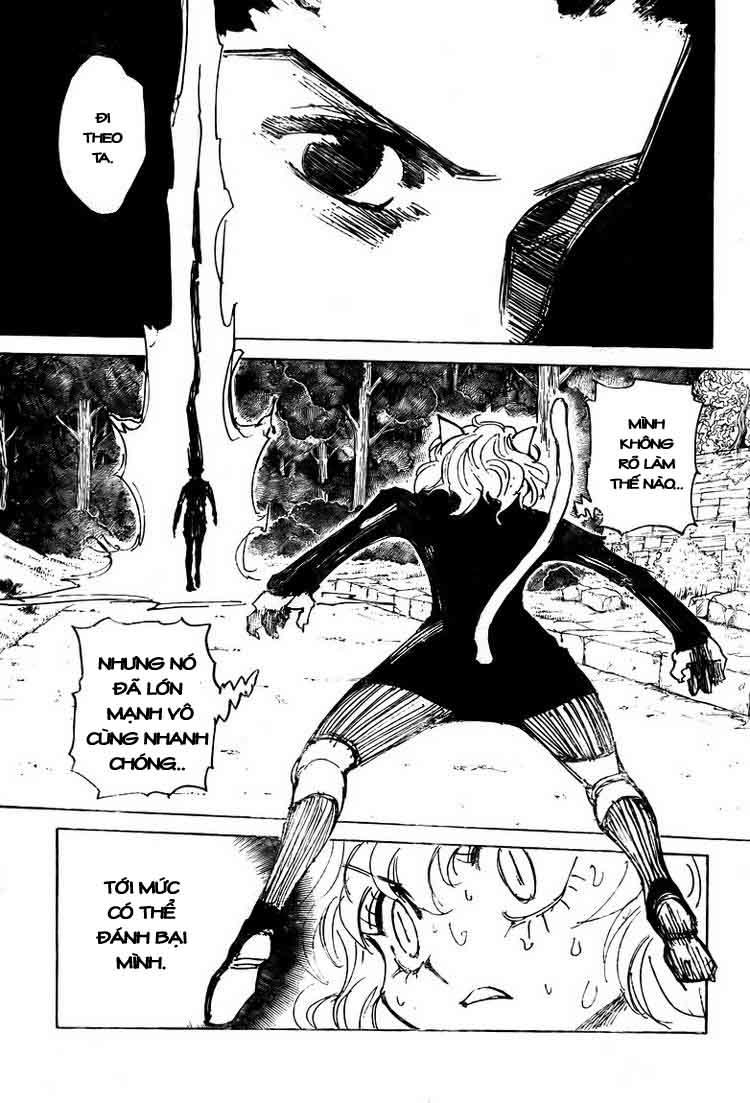 Hunter x Hunter Chap 306 - Next Chap 307