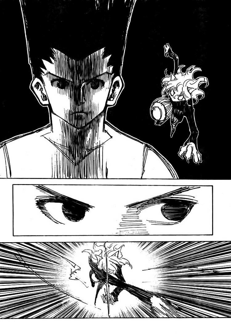 Hunter x Hunter Chap 306 - Next Chap 307