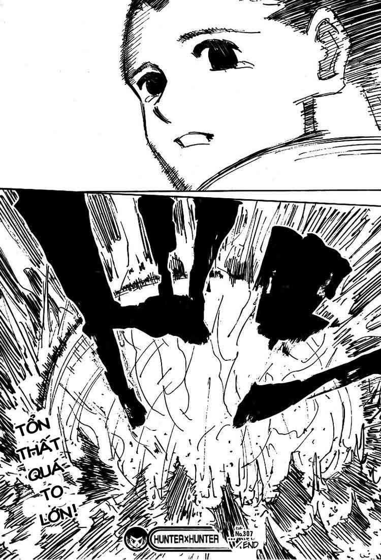 Hunter x Hunter Chap 307 - Next Chap 308