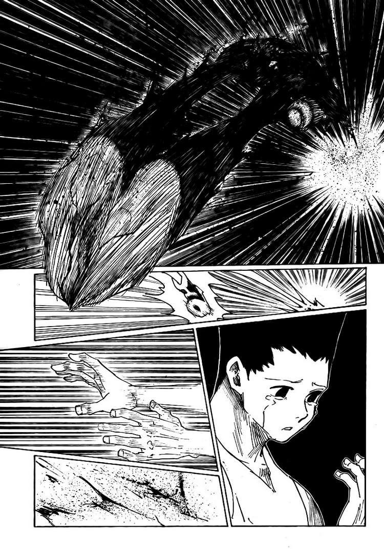Hunter x Hunter Chap 307 - Next Chap 308
