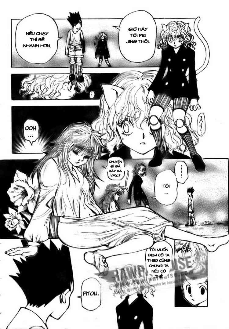 Hunter x Hunter Chap 300 - Next Chap 301