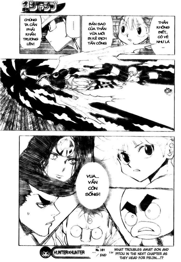 Hunter x Hunter Chap 301 - Next Chap 302
