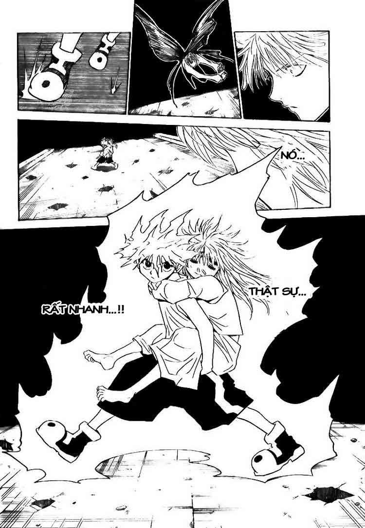 Hunter x Hunter Chap 303 - Next Chap 304