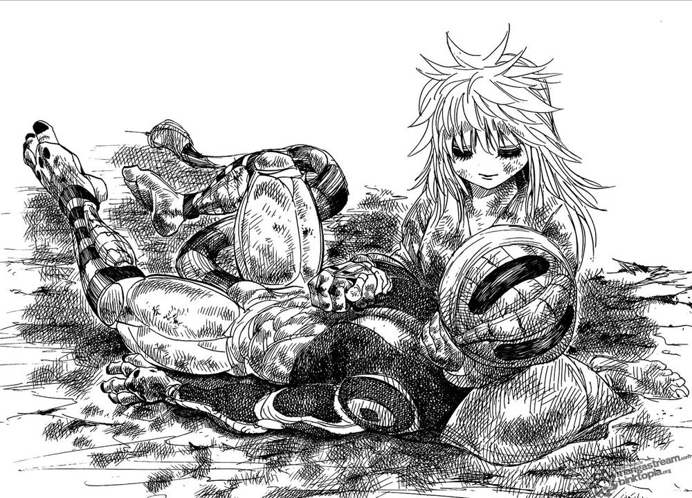 Hunter x Hunter Chap 318 - Next Chap 319