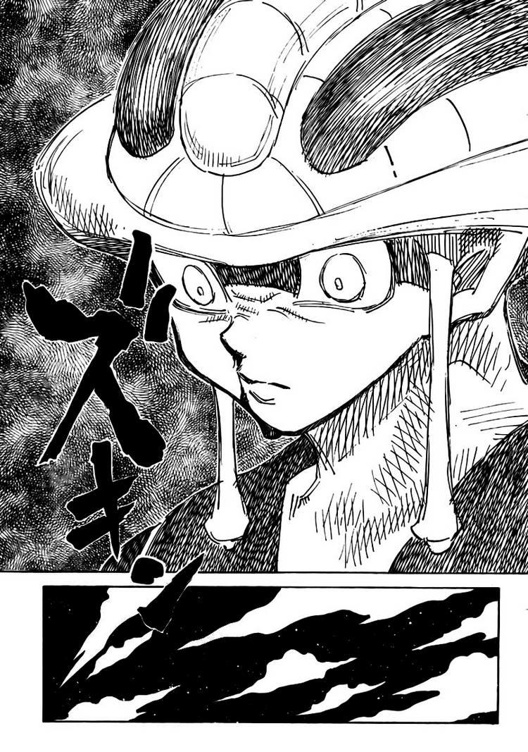 Hunter x Hunter Chap 310 - Next Chap 311