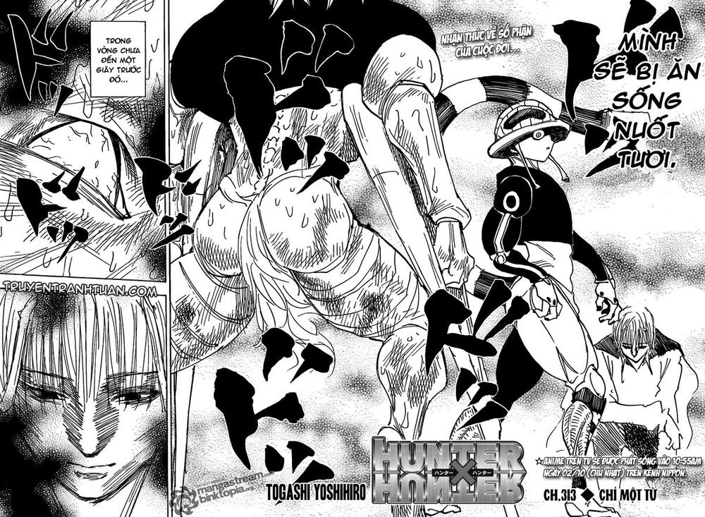 Hunter x Hunter Chap 313 - Next Chap 314