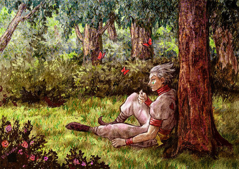 Hunter x Hunter Chap 342 - Next Chap 343