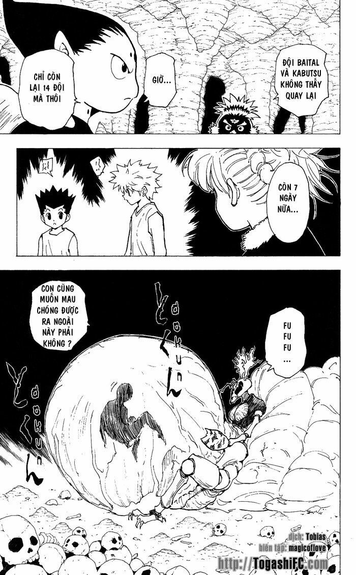 Hunter x Hunter Chap 205 - Next Chap 206