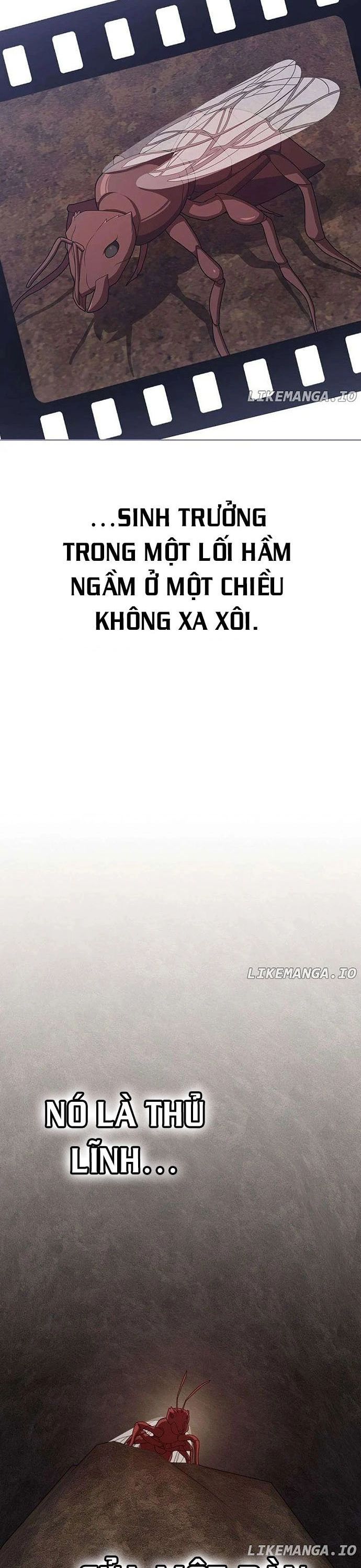 Tôi Là Người Chơi Leo Tháp Một Mình Chap 210 - Next Chap 211