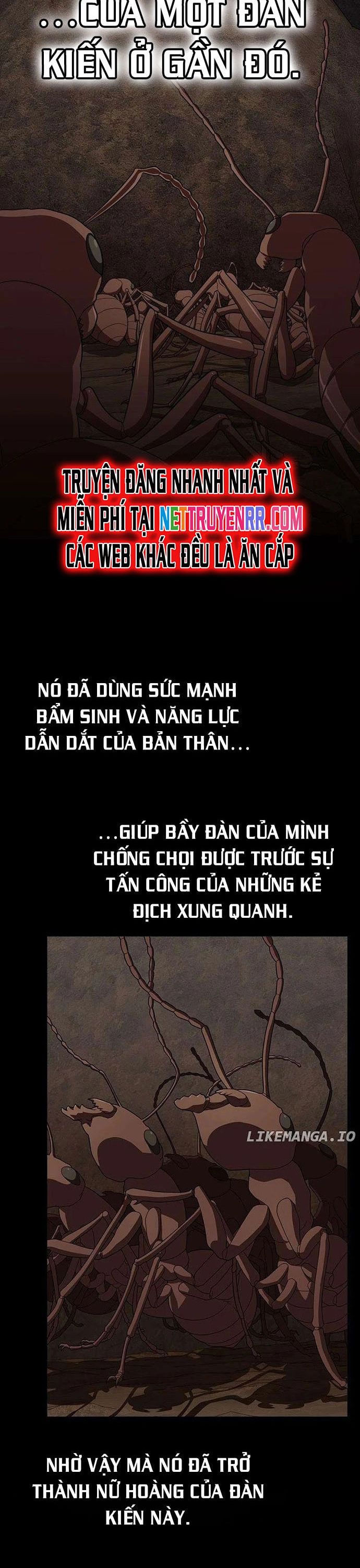 Tôi Là Người Chơi Leo Tháp Một Mình Chap 210 - Next Chap 211