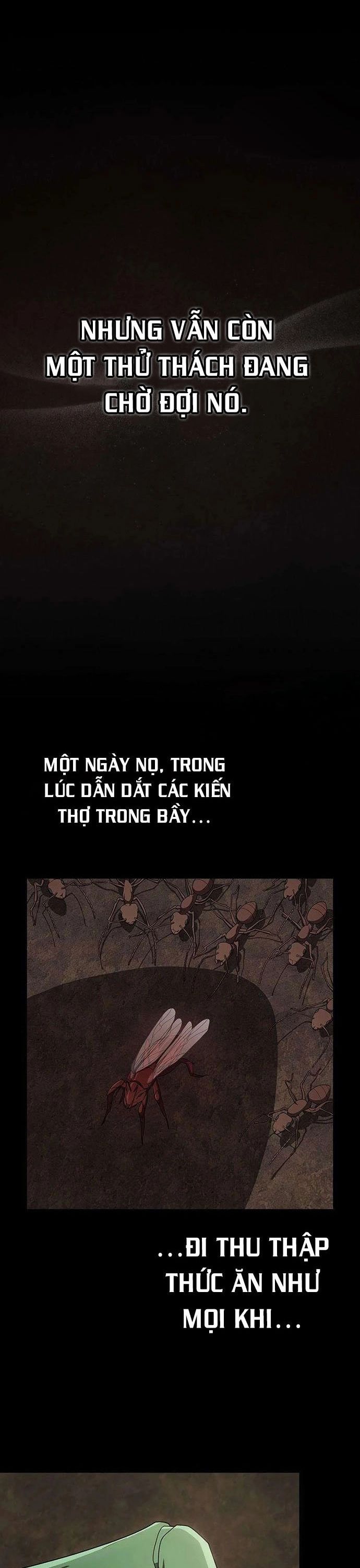 Tôi Là Người Chơi Leo Tháp Một Mình Chap 210 - Next Chap 211